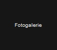 Fotogalerie